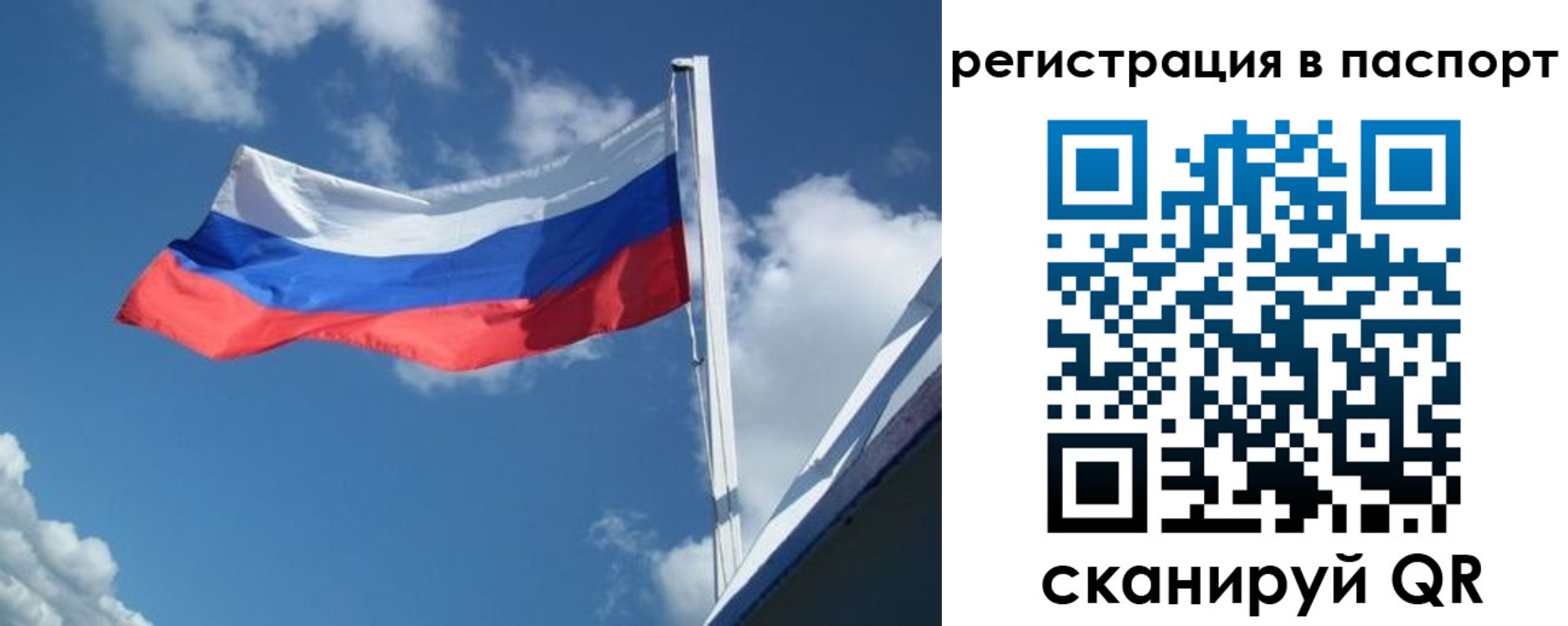 временная регистрация гарантия в Полярном